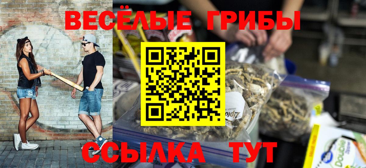 Псилоцибиновые грибы прущие грибы Сегежа